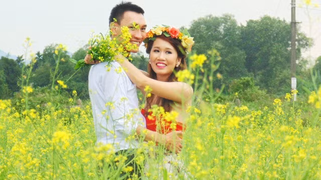 Hoa cải vàng là sự lựa chọn để có bức hình cưới nổi bật, độc đáo
