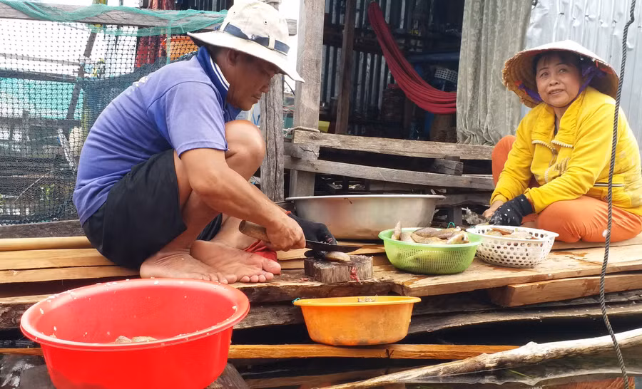Chế biến cá đánh bắt được trên hồ