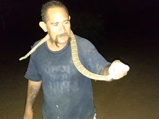  Victor Pratt, 48 tuổi, chụp ảnh cùng con rắn đuôi chuông trước khi bị cắn 