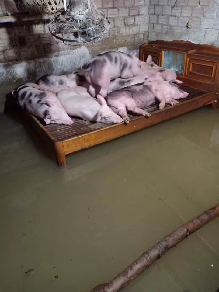 Lần đầu...