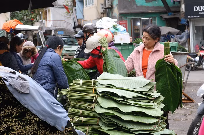 Cứ đến 25 tháng Chạp hàng năm, khu chợ lá dong tại phố Trần Quý Cáp, Hà Nội lại trở nên nhộn nhịp, tấp nập kẻ bán người mua. Cứ đến 25 tháng Chạp hàng năm, khu chợ lá dong tại phố Trần Quý Cáp, Hà Nội lại trở nên nhộn nhịp, tấp nập kẻ bán người mua.