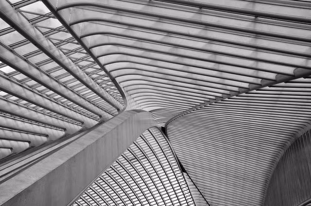 Góc nhìn lên mái của nhà ga Liege-Guillemins (Bỉ). Ảnh: Suraj Garg