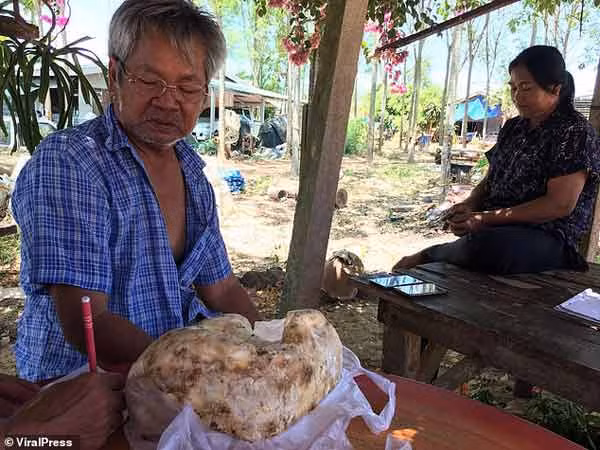 bong dung gap vat the bi an quy hon vang, nguoi dan ong om han vi hanh dong dai dot - 3