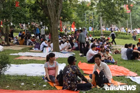 hang cay xanh tai den hung bi du khach giam dap khong thuong tiec hinh 2