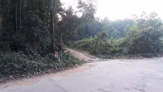 Phát hiện bộ xương người trong rừng ở Phú Quốc nghi tự tử - Ảnh 1.