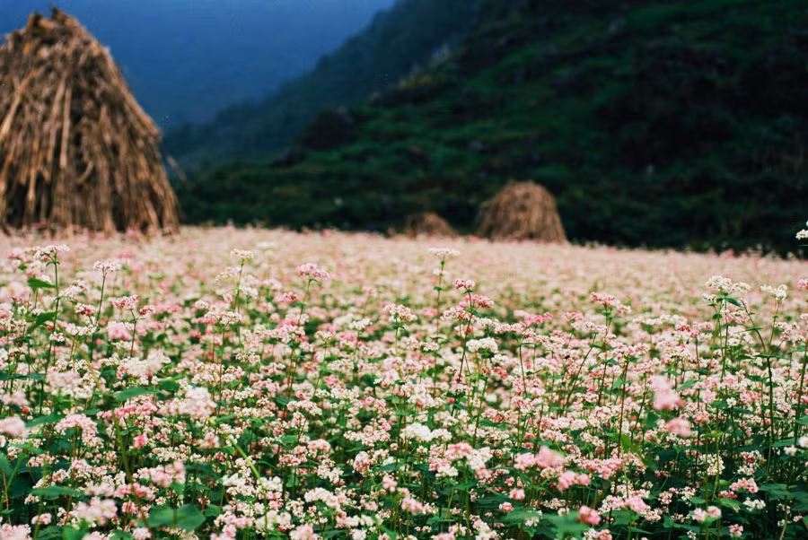 ha-giang-05