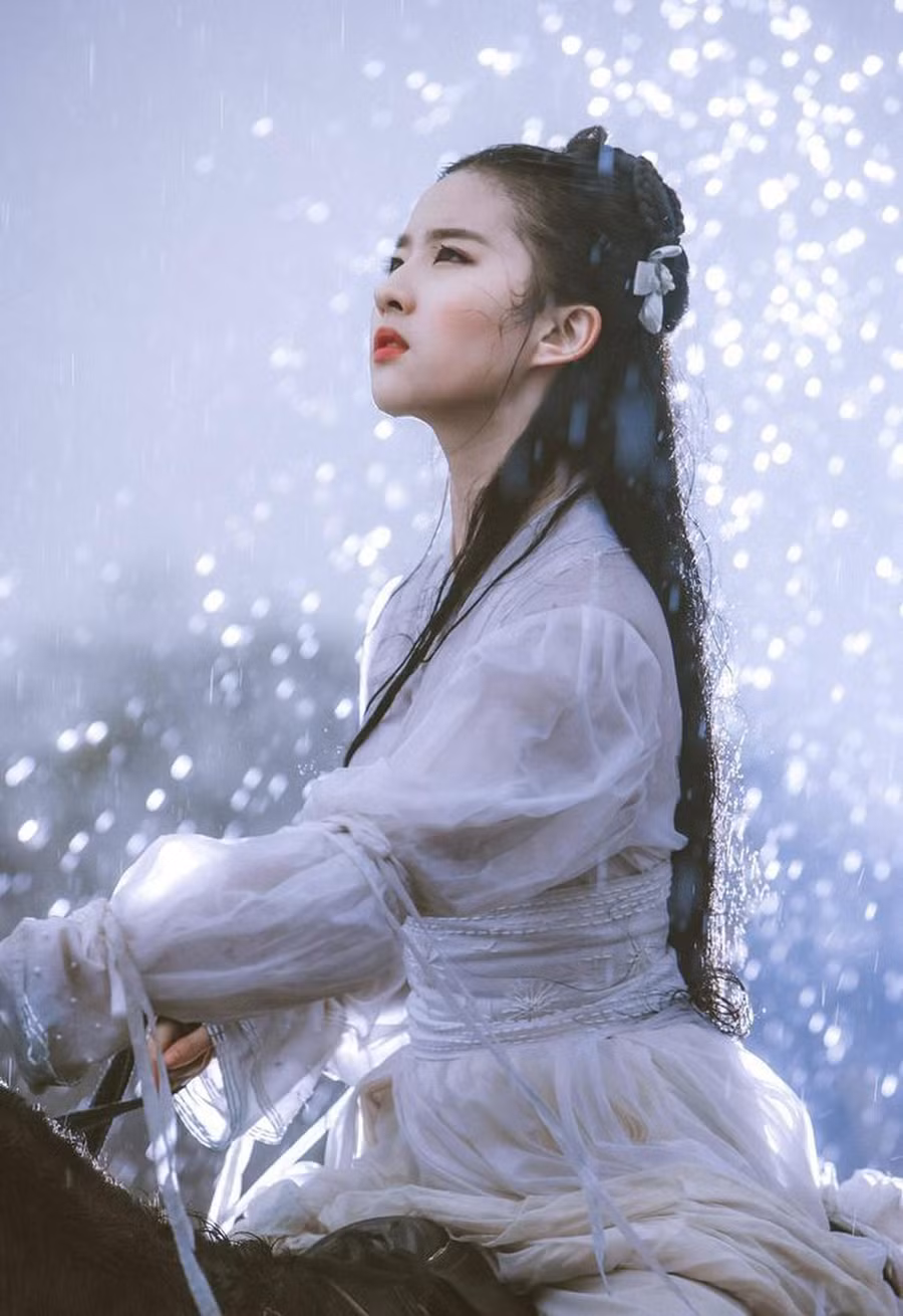 Dàn sao “Kim Phấn Thế Gia” sau 16 năm: Người “gà trống nuôi con”, kẻ chật vật tìm lại ánh hào quang ảnh 22