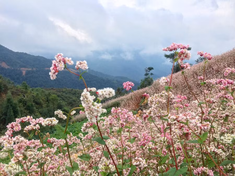 ha-giang-02