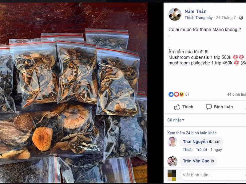 Các loại nấm thức thần phơi khô được rao bán sôi nổi trên mạng. Ảnh: HL