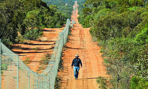Australia xây hàng rào dài nhất thế giới để ngăn mèo