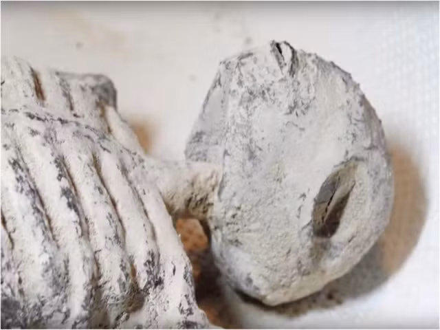 Cái xác này có giá lên tới 1 triệu bảng Anh trên thị trường chợ đen quốc tế