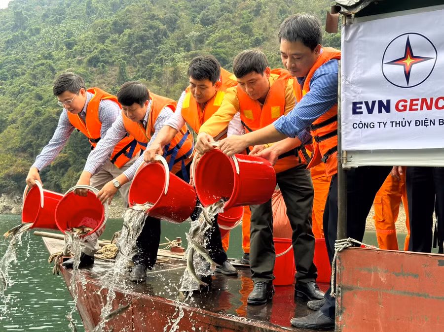 Công ty Thủy điện Bản Vẽ tạo nguồn lợi thủy sản bền vững trên dòng Nậm Nơn.