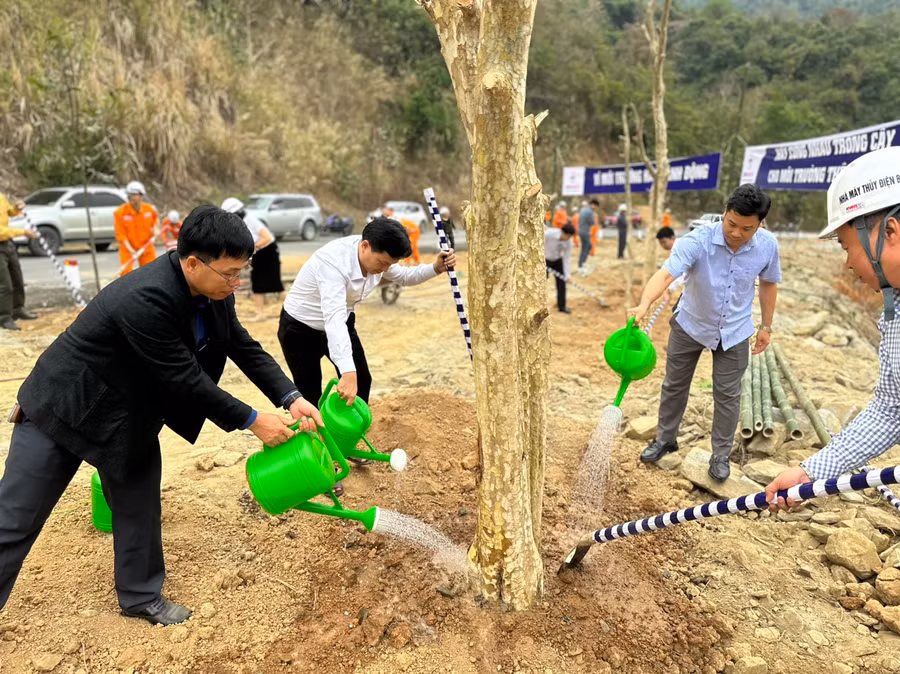 Lễ trồng cây trong khuôn viên nhà máy và trên đường lên thân đập.