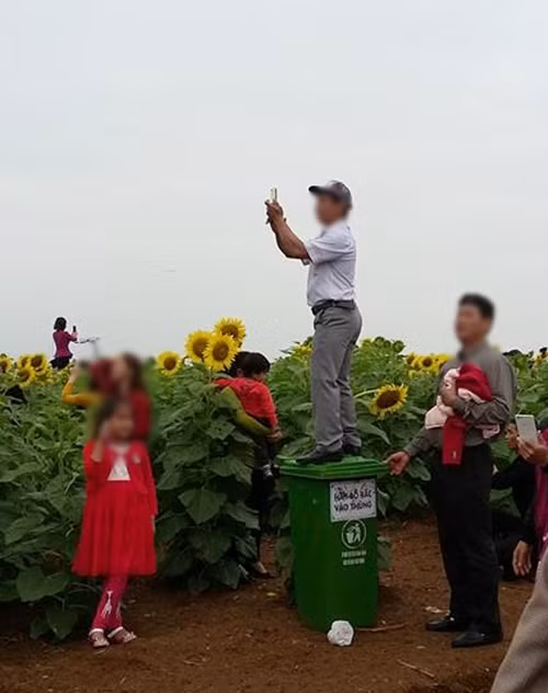 Hình ảnh người tham quan đứng trên thùng rác để ghi lại một bức ảnh đẹp. hinh-anh-pha-hoai-dong-hoa-duong-duong-nghe-an-bi-chi-trich-8