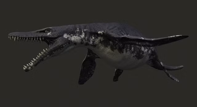 Không phải Megalodon, đây mới là loài mạnh nhất thời tiền sử ảnh 11