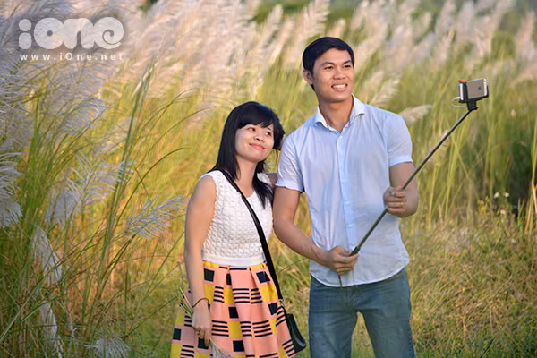 Các cặp đôi tỏ ra mê mẩn với cánh đồng cỏ lau cao quá đầu người này.