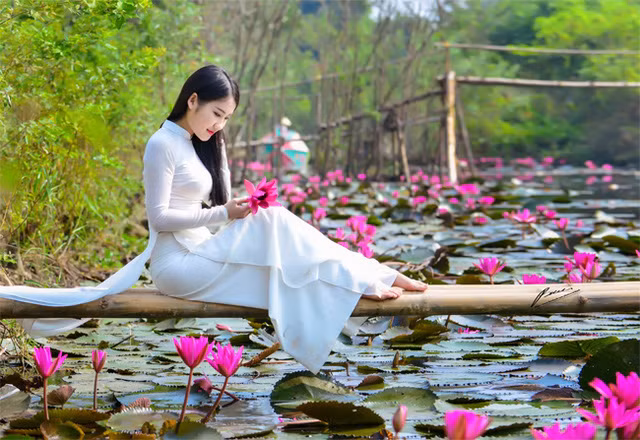 Thiếu nữ khoe sắc xuân mơn mởn bên hồ hoa súng