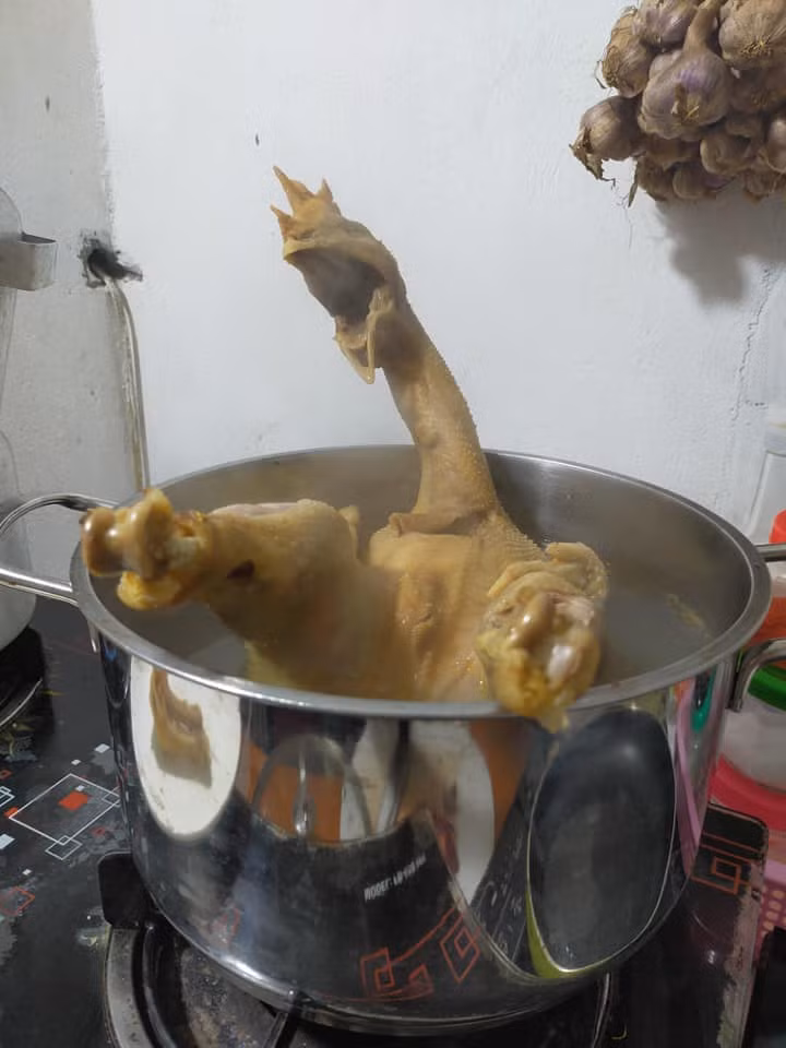 Gà cúng 23, trong nồi rồi mà vẫn cố gáy !