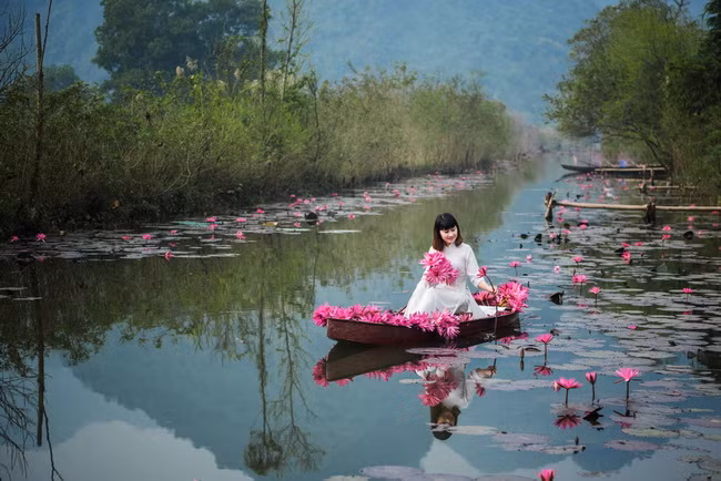Thuê thuyền nhỏ tự tay chèo, mua thêm một bó hoa súng vẫn còn vương sương sớm bạn sẽ thỏa sức tạo dáng với nhiều góc ảnh chụp lý tưởng.