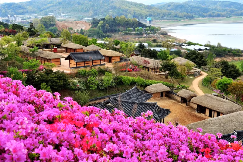 Vẻ đẹp nông thôn Hàn Quốc