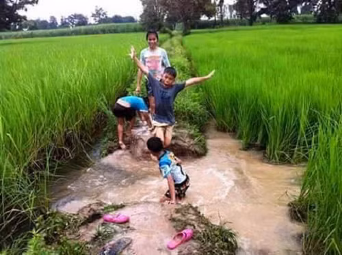 Khung cảnh thanh bình của tuổi thơ giữa những cánh đồng lúa xanh ngát. 20-mon-do-goi-nho-ky-uc-tuoi-tho-8x-9x-doi-dau-page-2-4