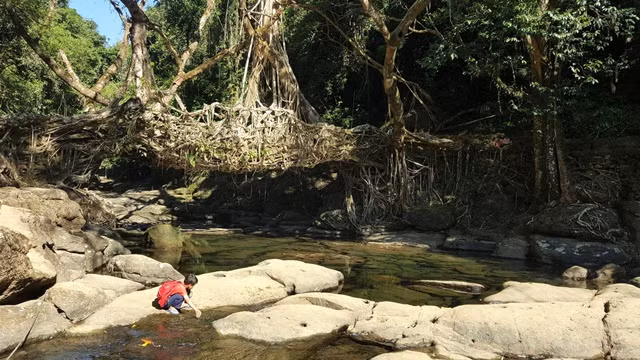 Khung cảnh nên thơ của ngôi làng Mawlynnong