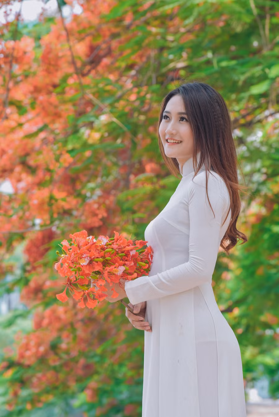Thiếu nữ Hà thành mơ màng bên hoa phượng “rực cháy“ ảnh 7