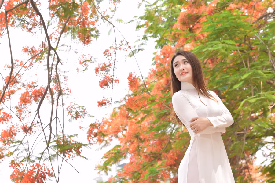 Thiếu nữ Hà thành mơ màng bên hoa phượng “rực cháy“ ảnh 10