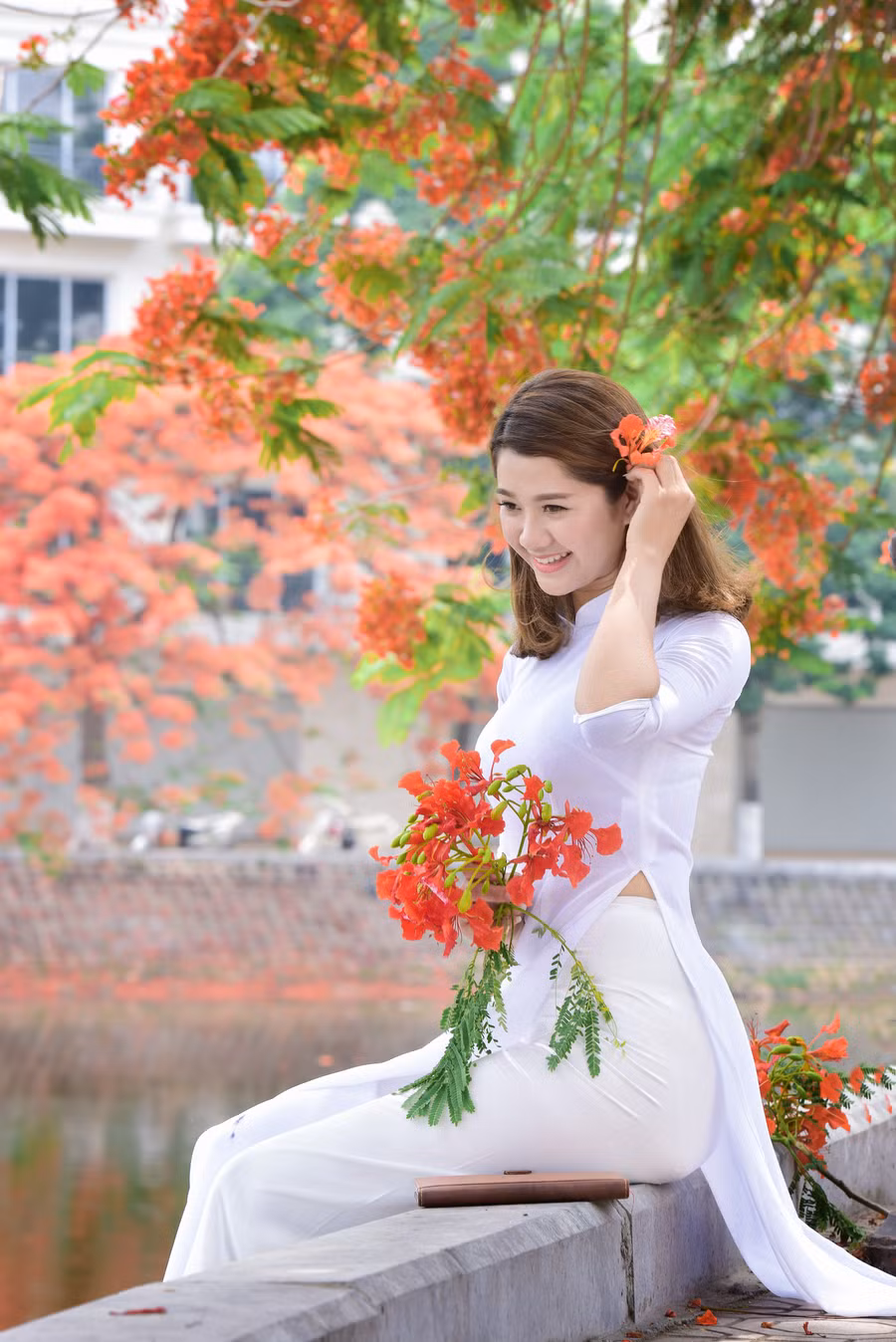 Thiếu nữ Hà thành mơ màng bên hoa phượng “rực cháy“ ảnh 12