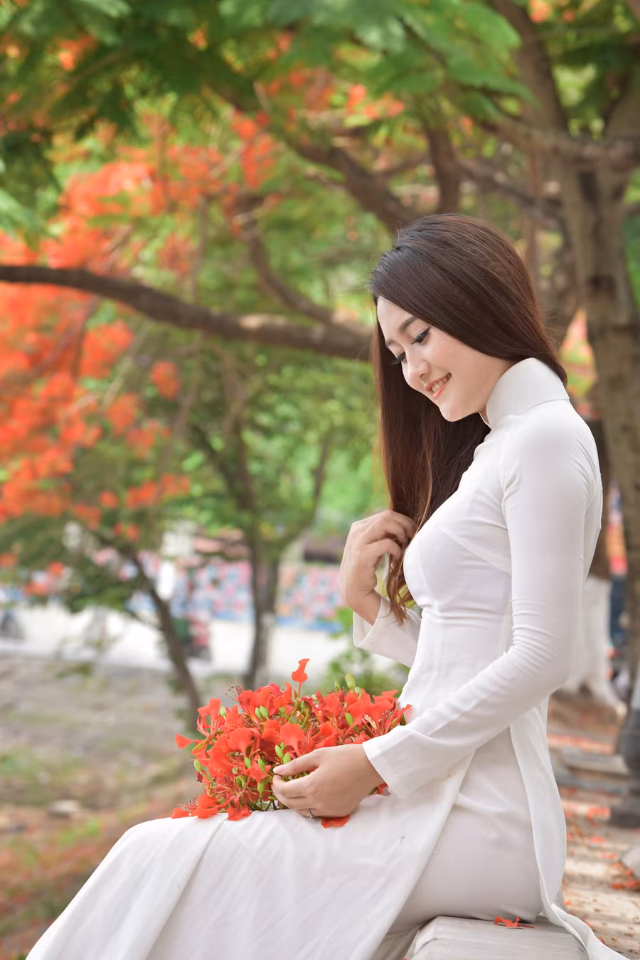Thiếu nữ Hà thành mơ màng bên hoa phượng “rực cháy“ ảnh 20