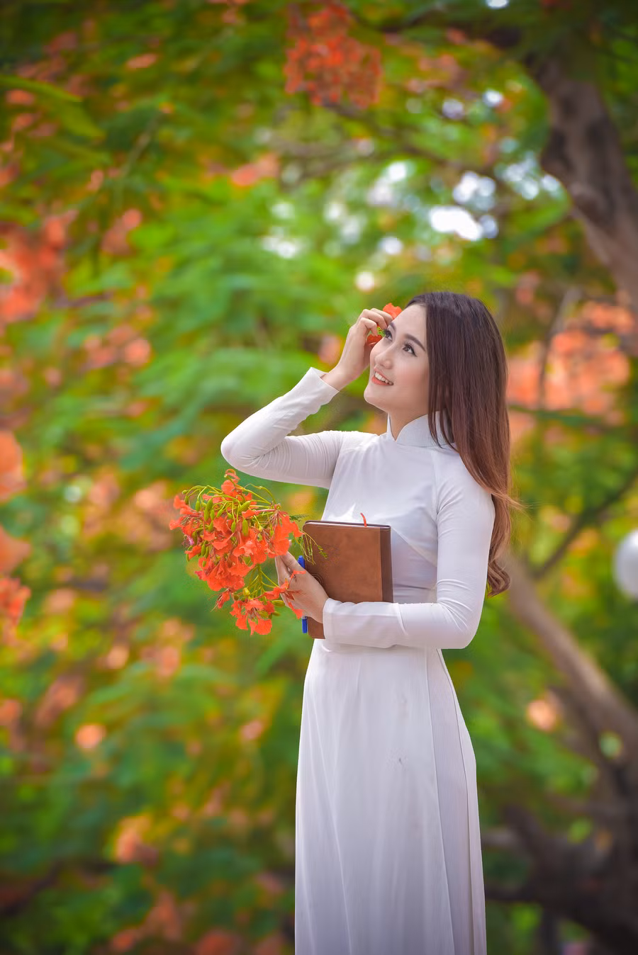 Thiếu nữ Hà thành mơ màng bên hoa phượng “rực cháy“ ảnh 16