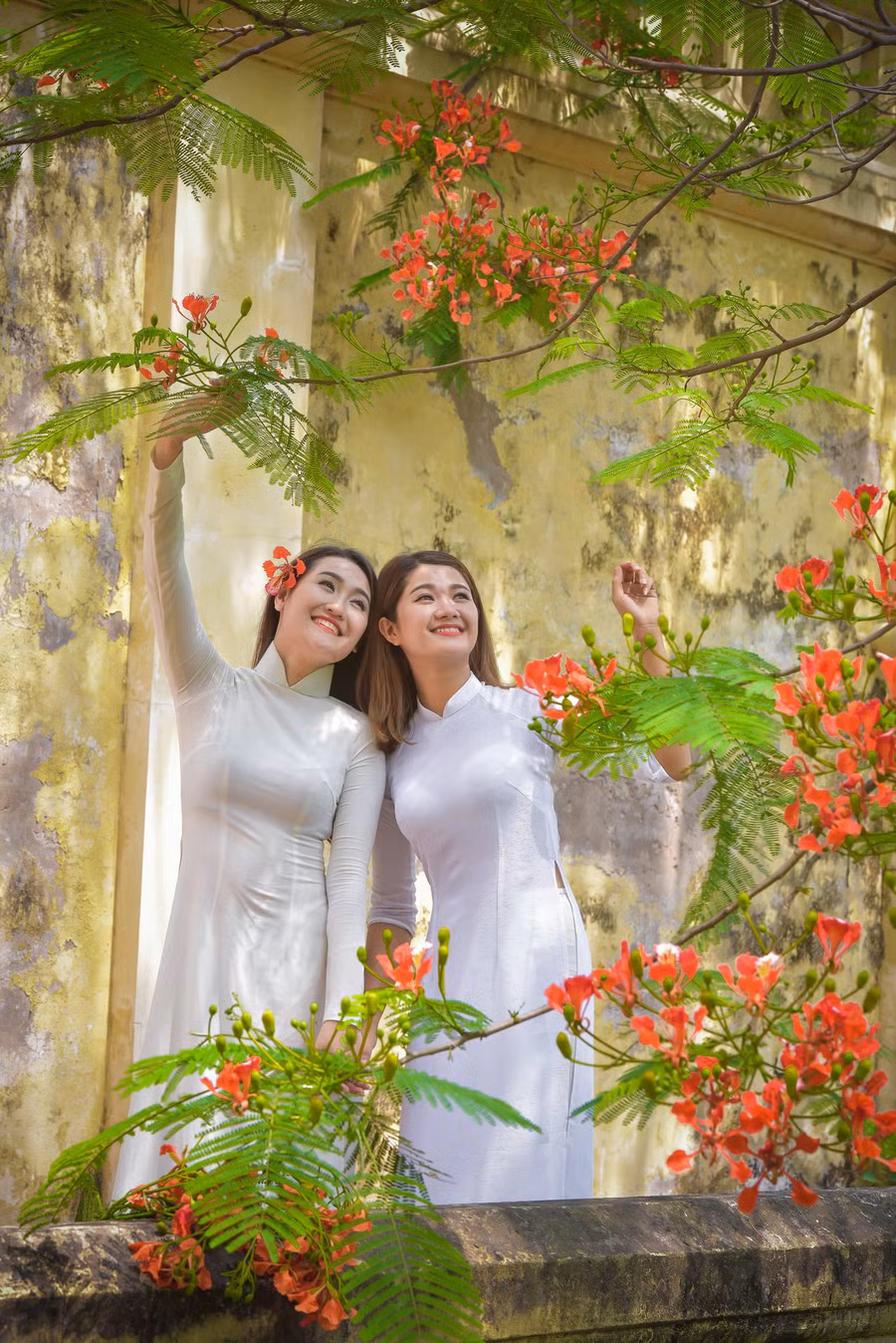 Thiếu nữ Hà thành mơ màng bên hoa phượng “rực cháy“ ảnh 13