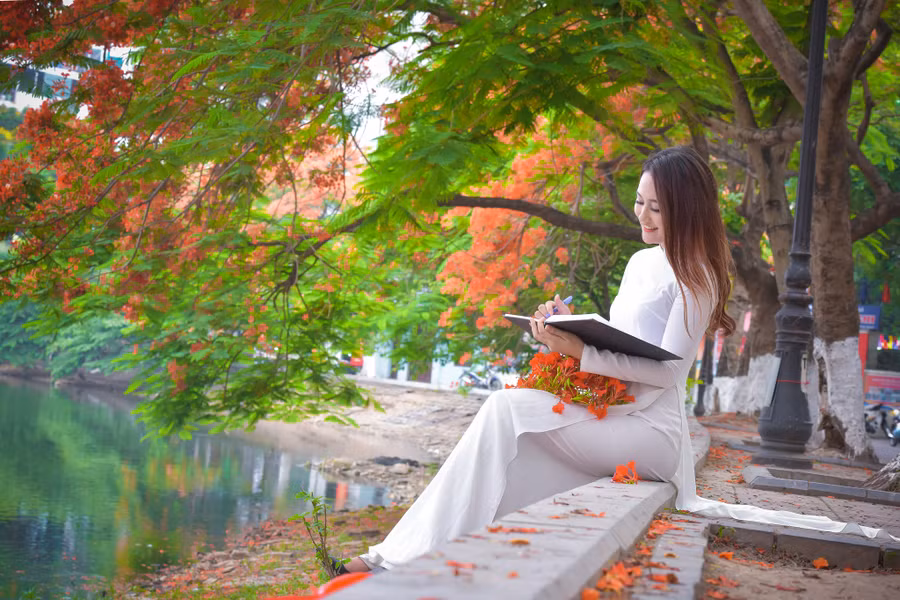 Thiếu nữ Hà thành mơ màng bên hoa phượng “rực cháy“ ảnh 18