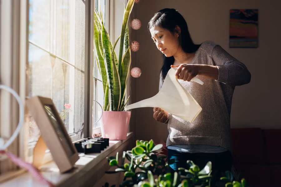 Ở một mình không có nghĩa là cô đơn. (Ảnh: ITN).