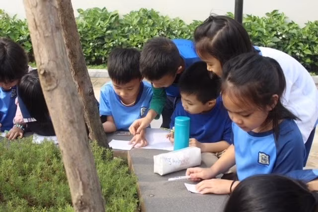 Bình Minh cùng các bạn mê mải khảo sát "thảm thực vật" SenTia trong giờ Khoa học.