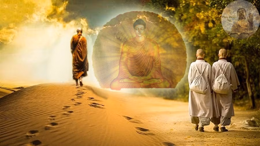 Kỳ vọng càng nhiều, tâm trí càng u tối, rất dễ mắc sai lầm và rơi xuống thất bại ê chề. Buông bỏ được kỳ vọng ta sẽ thực sự trưởng thành.
