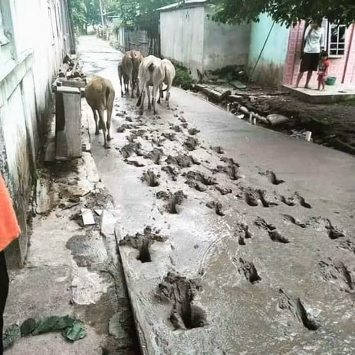 Thà là bỏ đi hết ta làm lại từ đầu