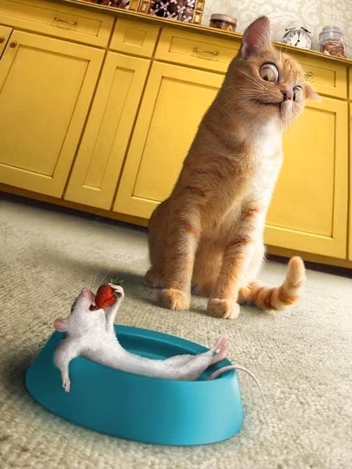 Con chuột gan dạ nhất thế giới.