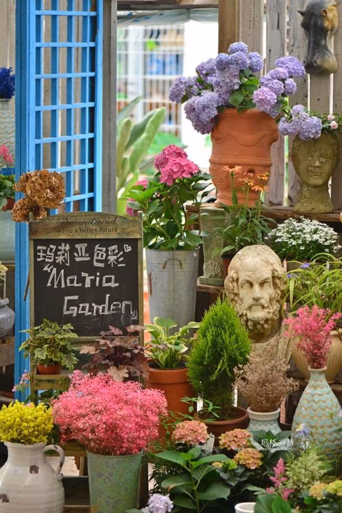 Mãn nhãn khu vườn đẹp như mê cung của người đàn ông yêu thích làm vườn ảnh 5