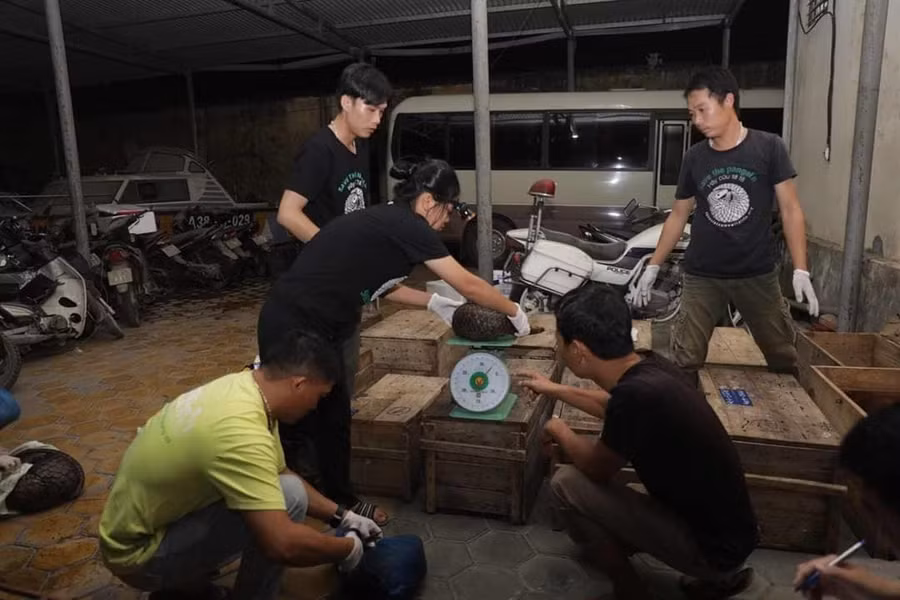 Khoang bí mật trong xe khách của vợ chồng 