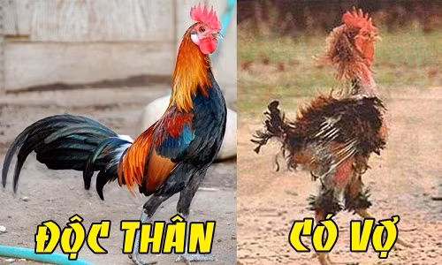 Điều gì nên làm nhất trước khi lấy vợ?