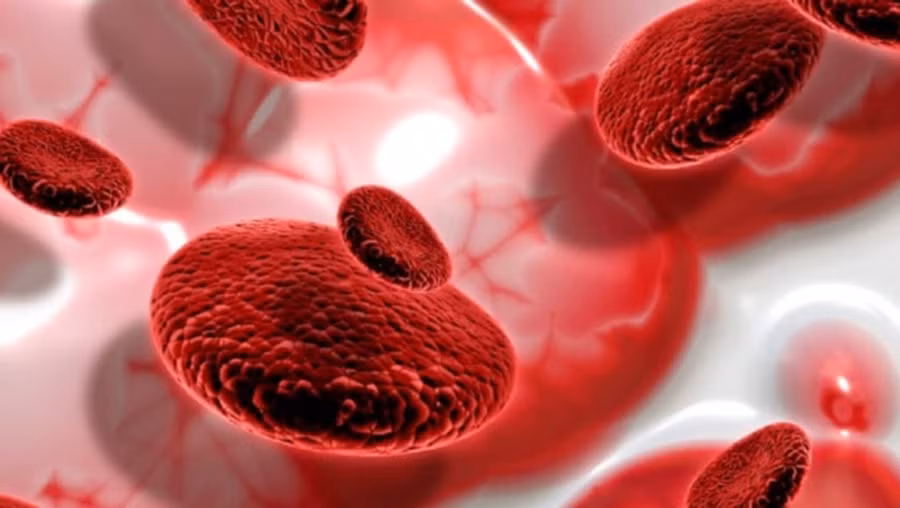 Vitamin K có thể ảnh hưởng đến quá trình chuyển hóa glucose, khiến nó có khả năng mang lại lợi ích cho việc kiểm soát lượng đường trong máu. (Ảnh: ITN) Vitamin K có thể ảnh hưởng đến quá trình chuyển hóa glucose, khiến nó có khả năng mang lại lợi ích cho việc kiểm soát lượng đường trong máu. (Ảnh: ITN)
