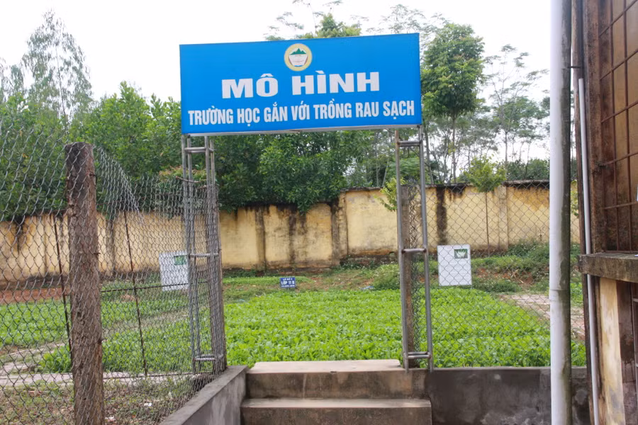 Khu vực vườn rau xanh của Trường Phổ thông Dân tộc nội trú tỉnh Phú Thọ. Ảnh: Trung Toàn Khu vực vườn rau xanh của Trường Phổ thông Dân tộc nội trú tỉnh Phú Thọ. Ảnh: Trung Toàn