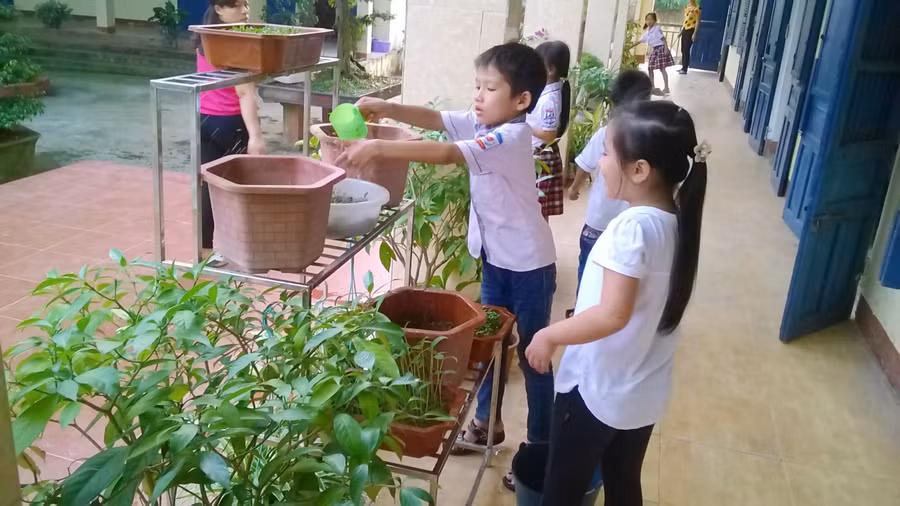 Trong giờ trải nghiệm tại Trường TH Nam Bình (Nam Trực, Nam Định)