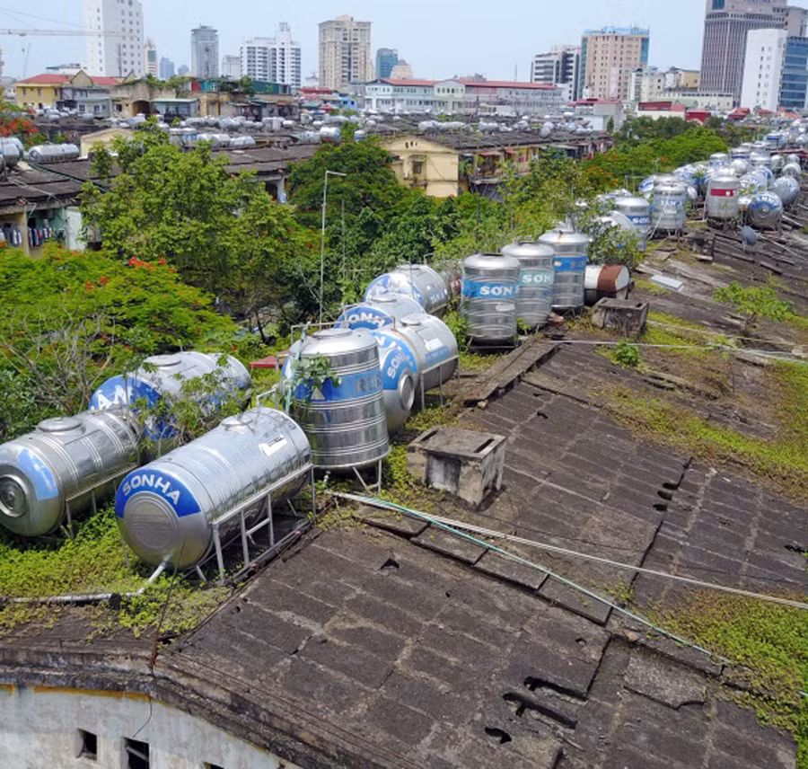 Mọc như khoai, sắn trên nóc nhà cũ Mọc như khoai, sắn trên nóc nhà cũ