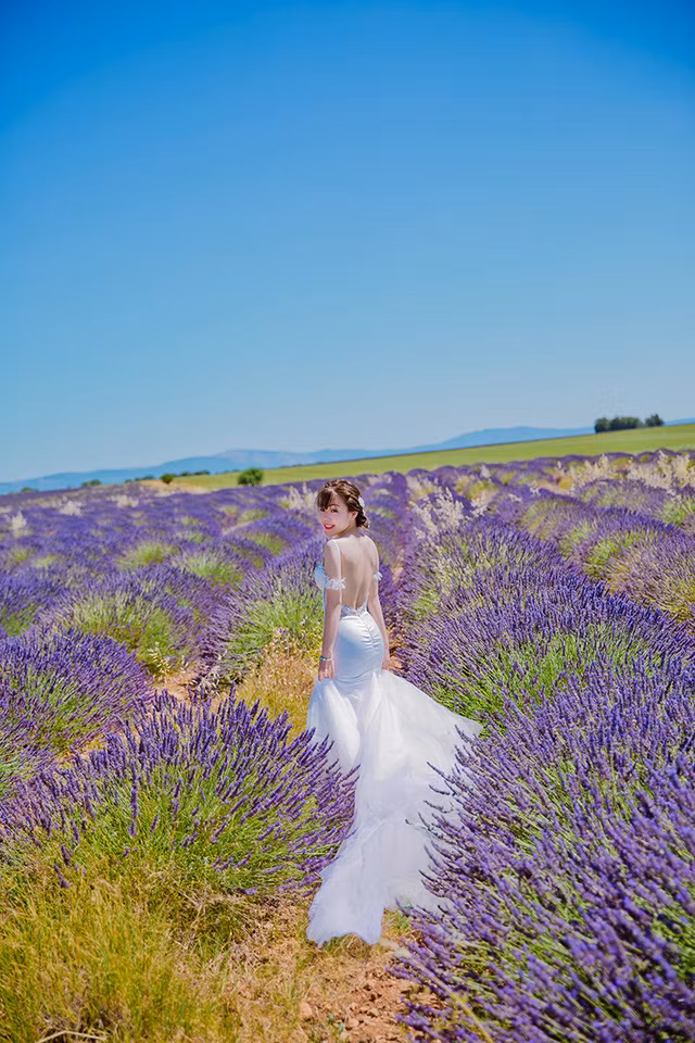 Ảnh cưới của cặp đôi Việt trên cánh đồng Lavender nước Pháp ảnh 12