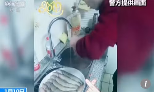 Đĩa cá nấu cho cha mẹ ăn không ngờ gây họa cho cặp vợ chồng trẻ. Ảnh: CCTV.