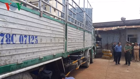 xác minh một số nghi vấn vụ tai giao thông 3 người tử vong tại gia lai hình 5 xac minh mot so nghi van vu tai giao thong 3 nguoi tu vong tai gia lai hinh 5