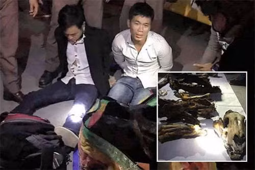 Hai người Việt Nam bị bắt tại trạm xe buýt ở tỉnh Phitsanulok, Thái Lan. Ảnh: Bangkok Post.