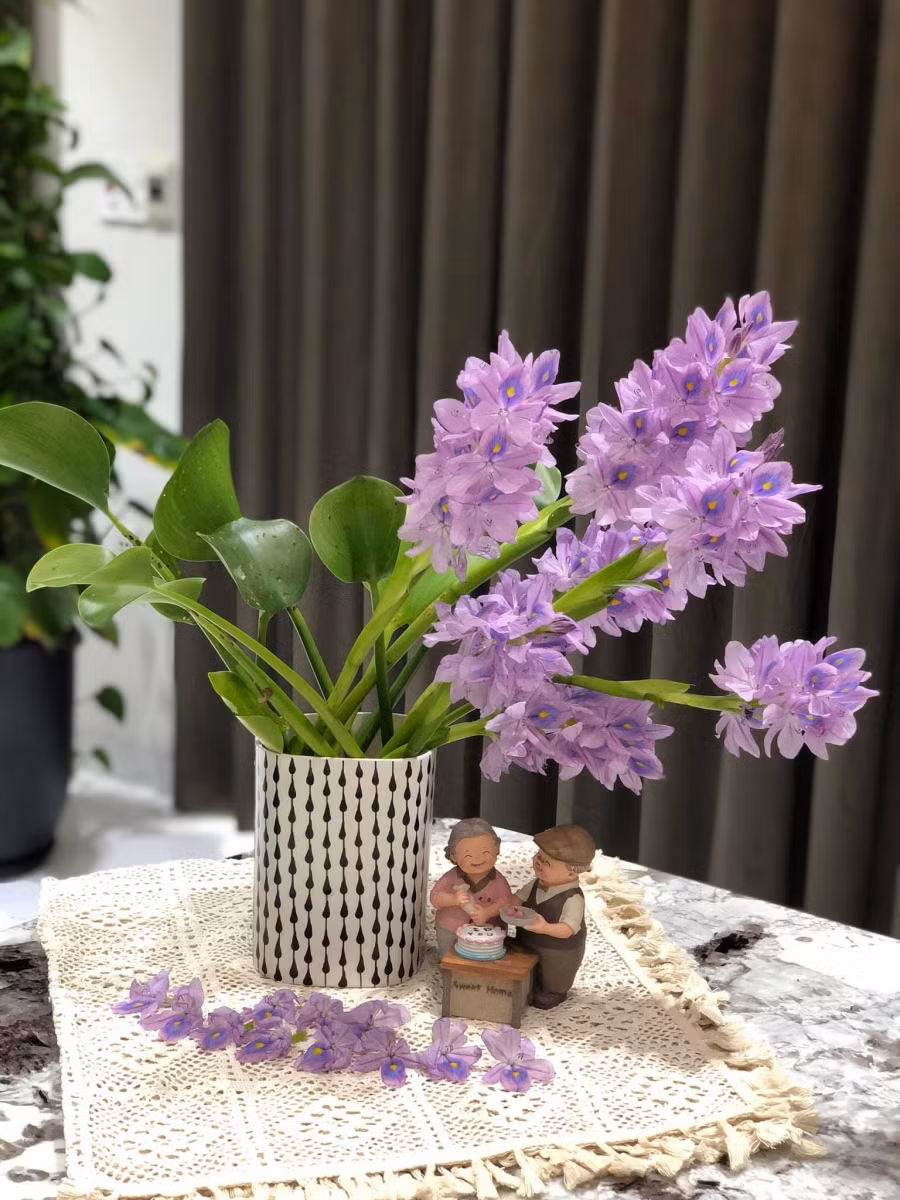 Ngỡ ngàng vì vẻ đẹp của bình hoa lục bình "rẻ như bèo" của cô gái 8x ảnh 4